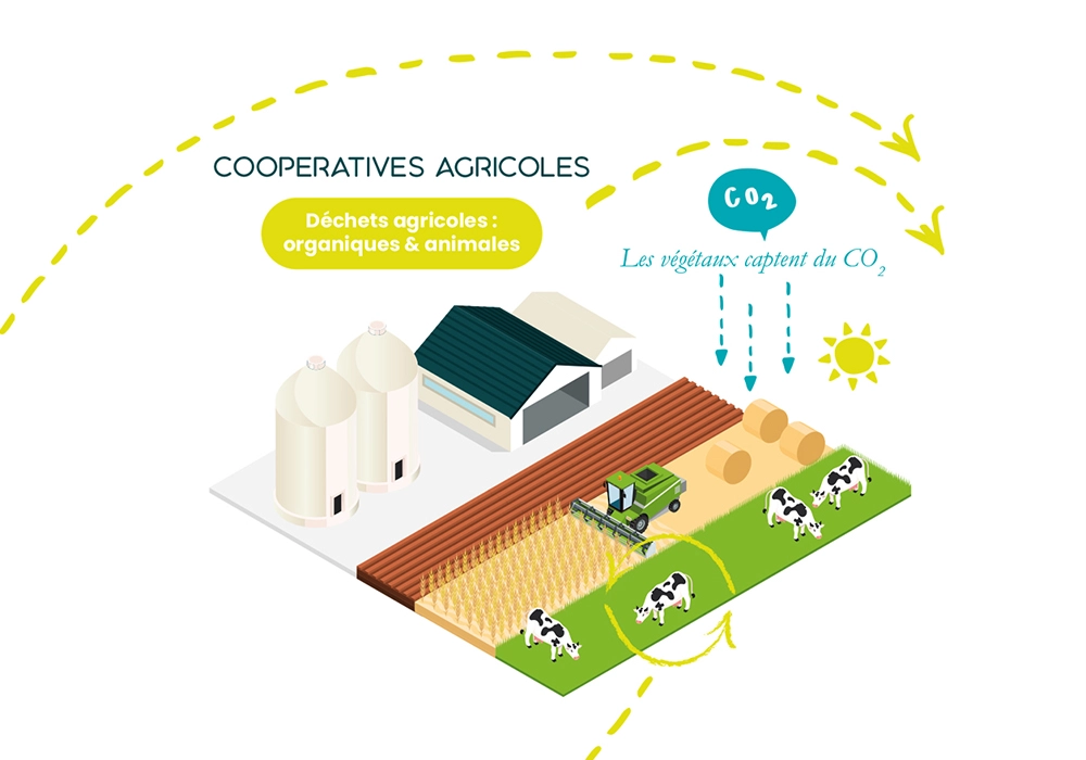 schéma agriculture fixation carbone